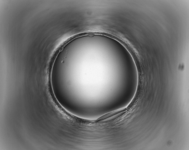 X0000099431416200805161059