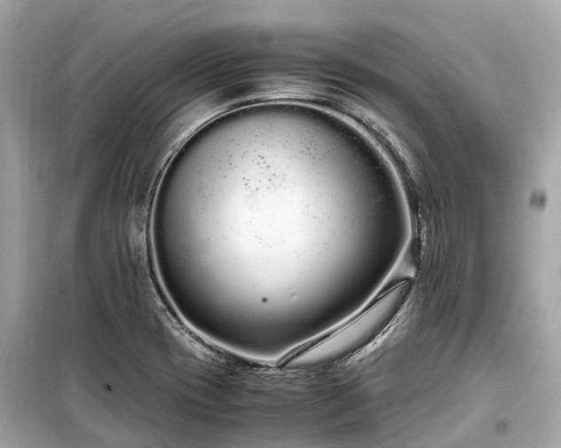 X0000099431417200805161059