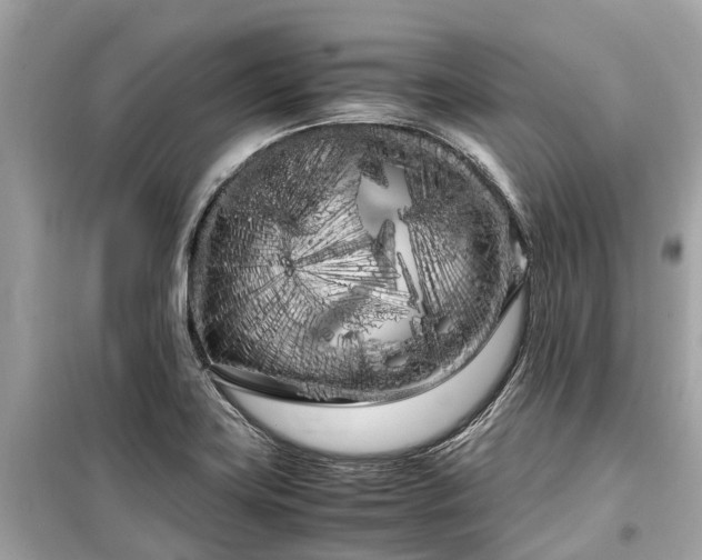 X0000099431419200805161059