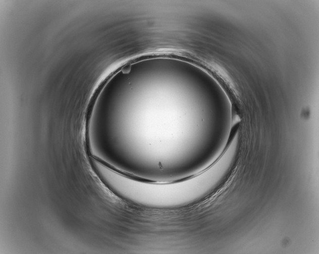 X0000099431420200805161059