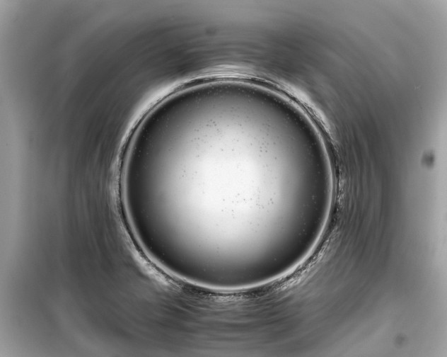X0000099431421200805161059