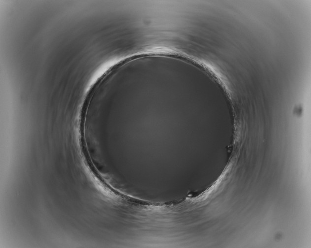 X0000099431422200805161059