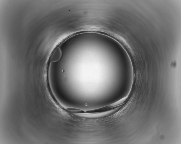 X0000099431424200805161059