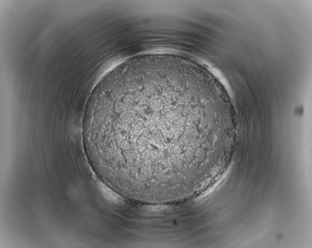 X0000099431425200805161059