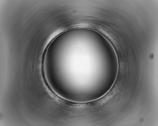 X0000099431426200805161059