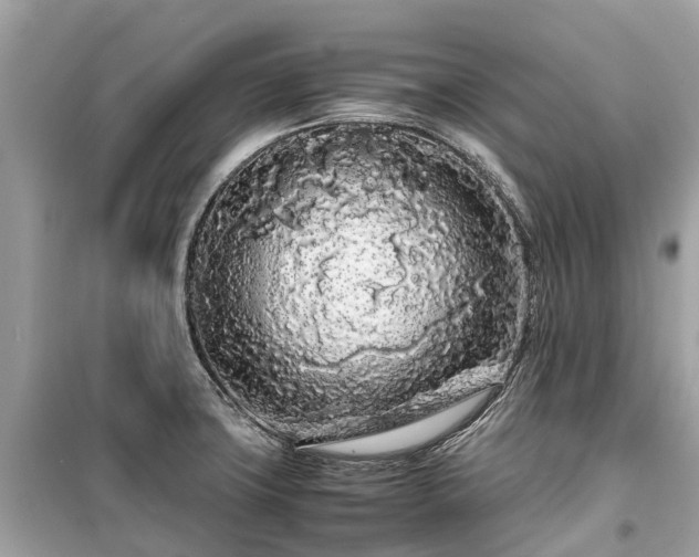 X0000099431427200805161059