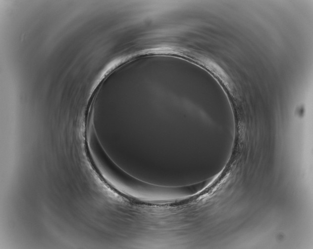X0000099431428200805161059