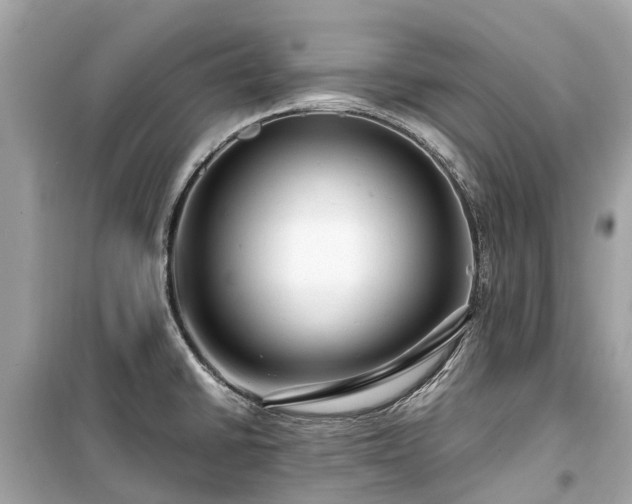 X0000099431430200805161059
