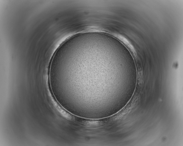 X0000099431431200805161059