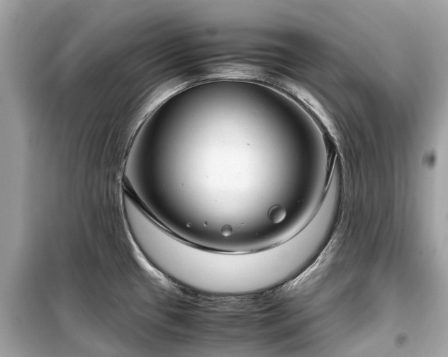 X0000099431433200805161059