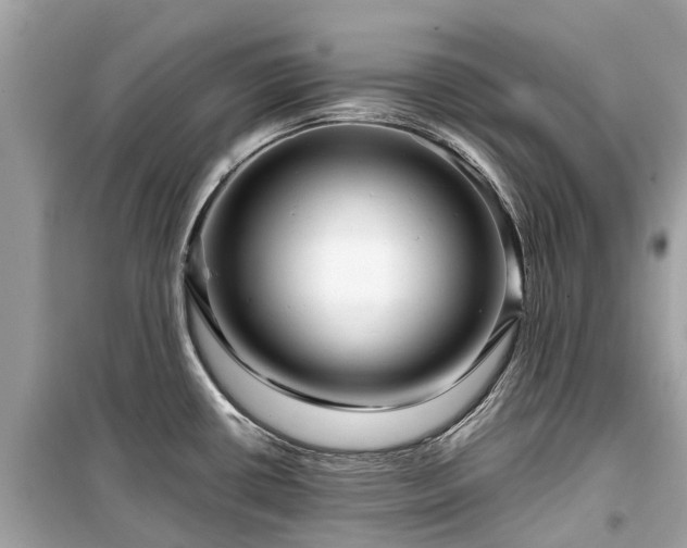 X0000099431434200805161100
