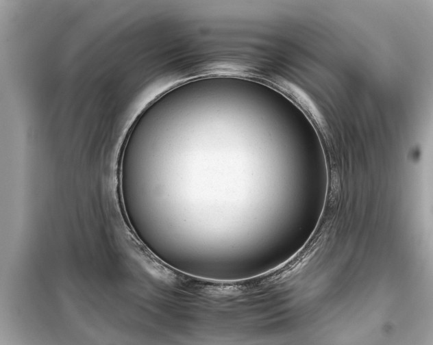 X0000099431435200805161100