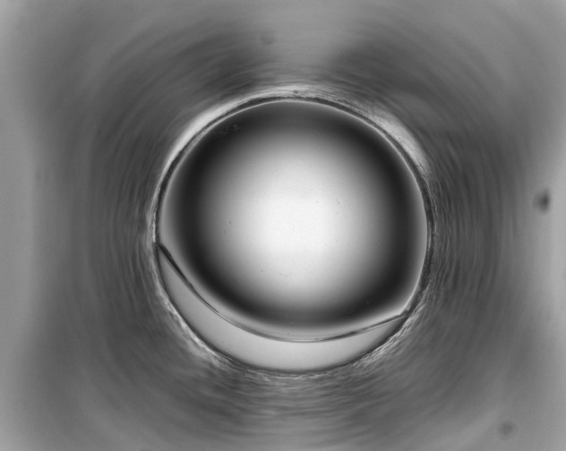 X0000099431436200805161100