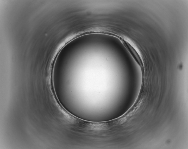 X0000099431437200805161100