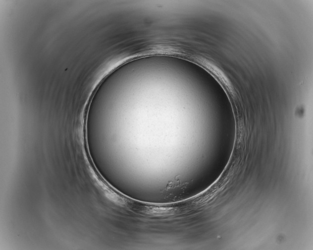 X0000099431439200805161100