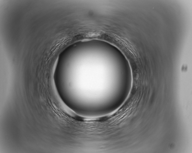 X0000099431441200805161059