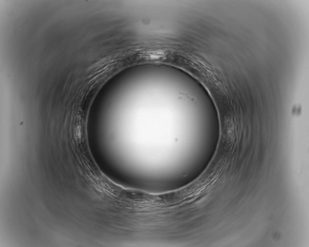 X0000099431442200805161059