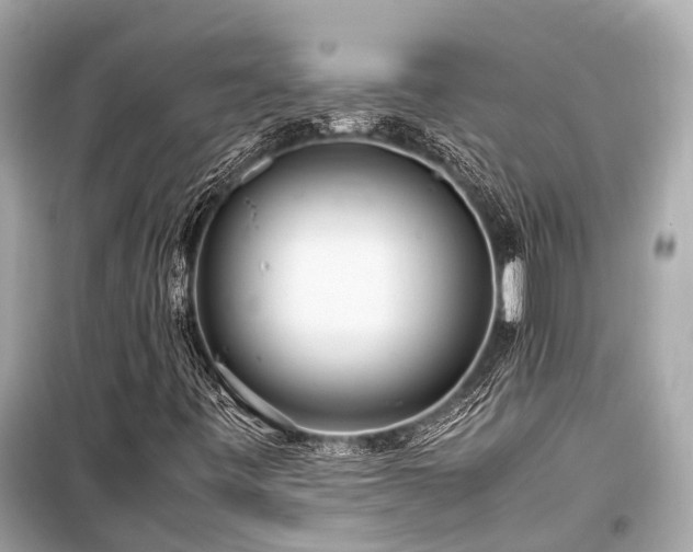 X0000099431443200805161059
