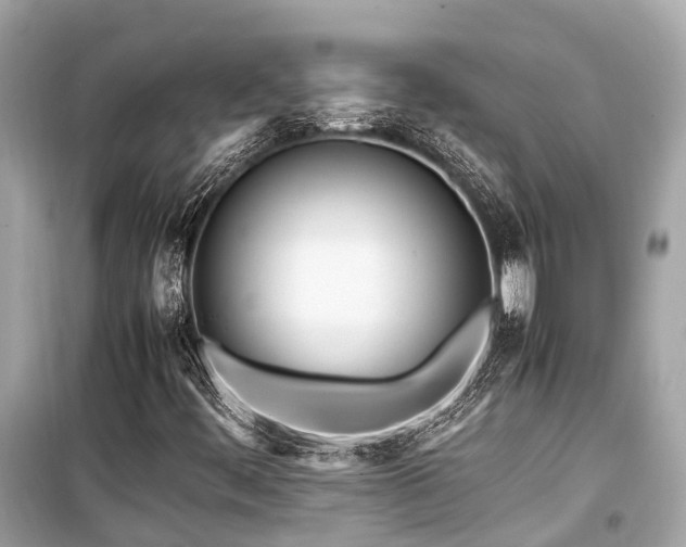 X0000099431444200805161059