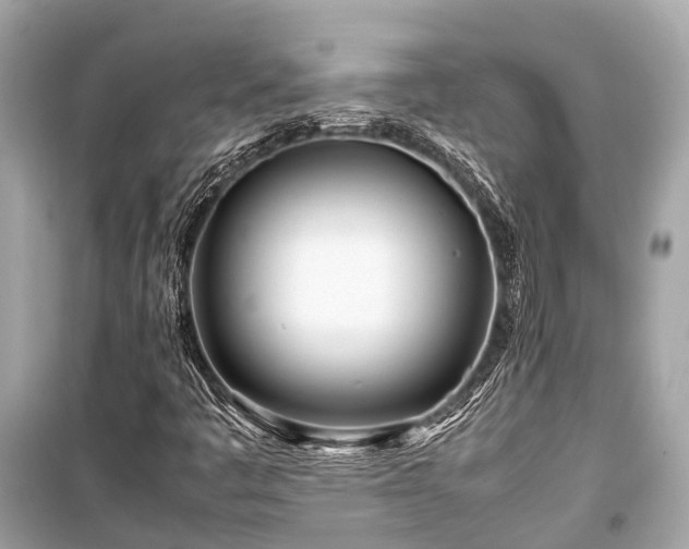 X0000099431445200805161059