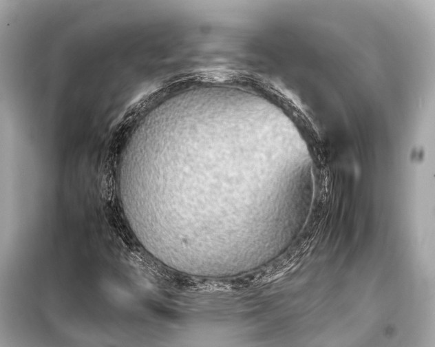 X0000099431446200805161058