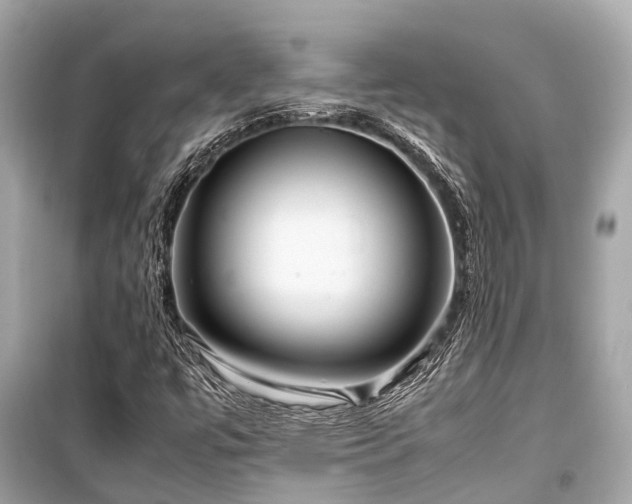 X0000099431447200805161058
