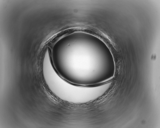 X0000099431448200805161058