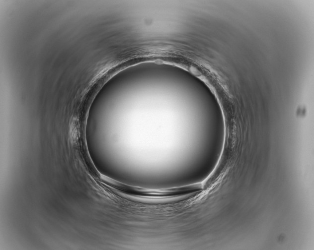 X0000099431449200805161058
