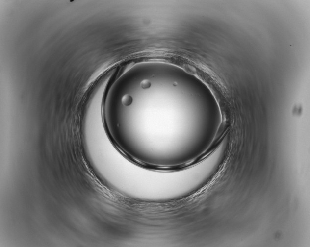 X0000099431450200805161058