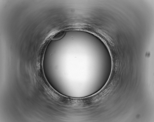 X0000099431451200805161058