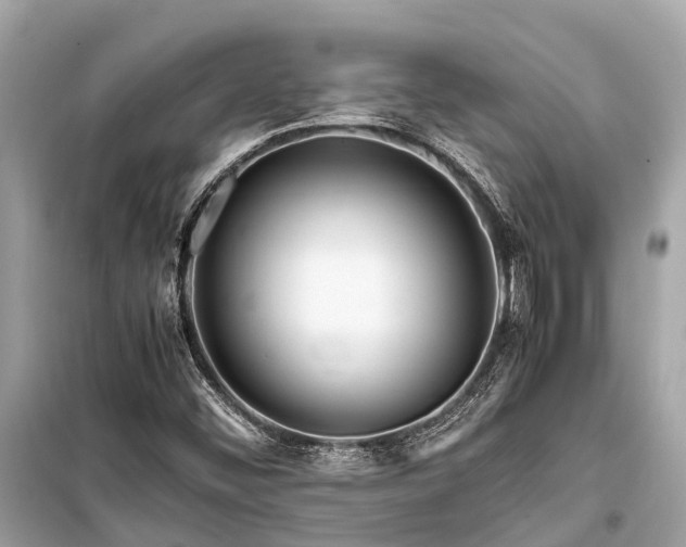 X0000099431452200805161058