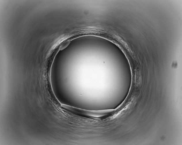 X0000099431453200805161058