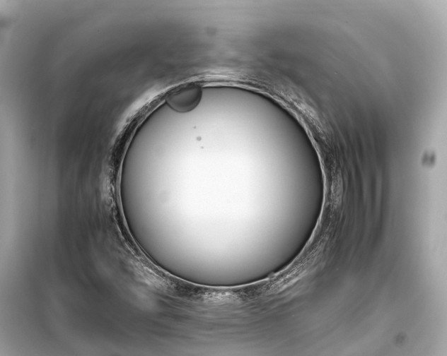 X0000099431454200805161058