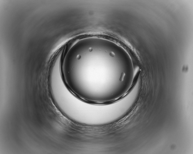 X0000099431456200805161058