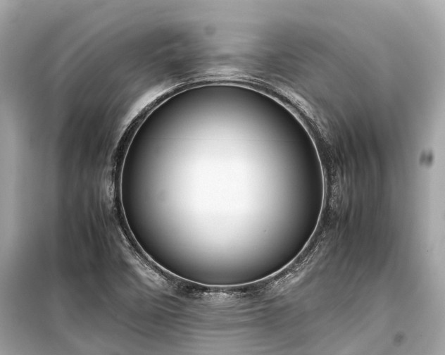 X0000099431458200805161058