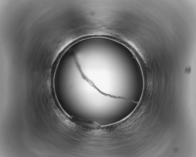 X0000099431460200805161058
