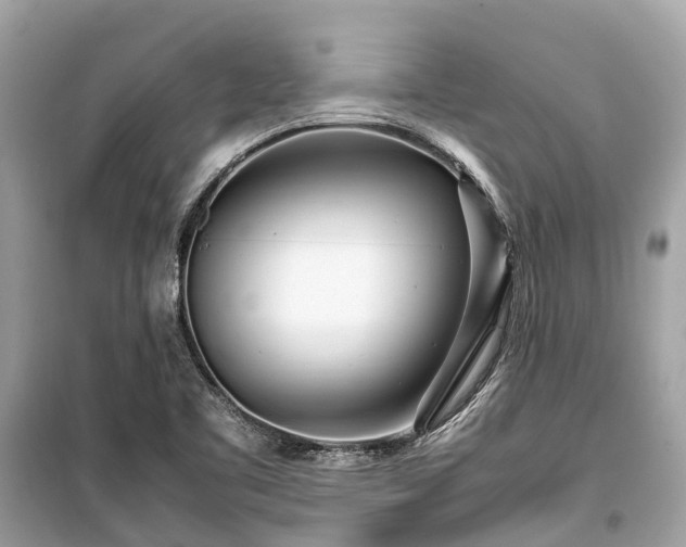 X0000099431461200805161058