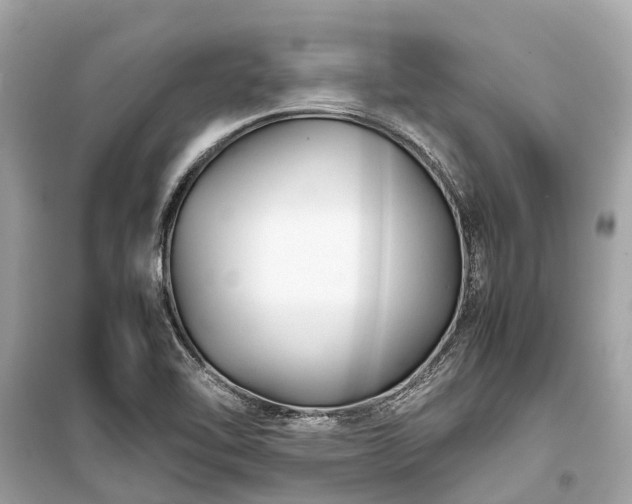 X0000099431462200805161058
