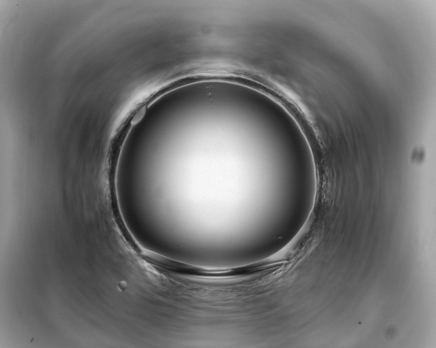 X0000099431464200805161058