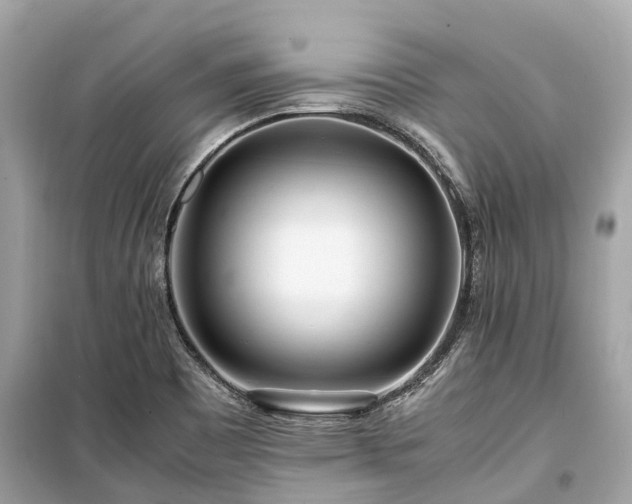 X0000099431465200805161058
