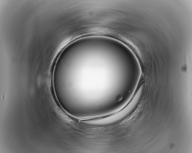 X0000099431467200805161058