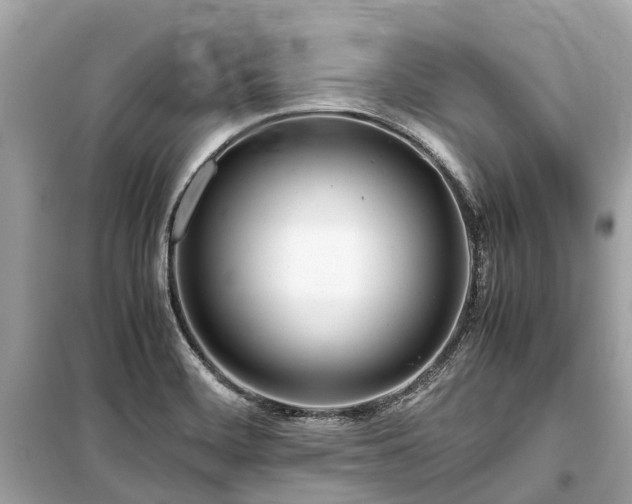 X0000099431468200805161058