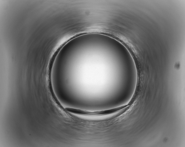 X0000099431469200805161058