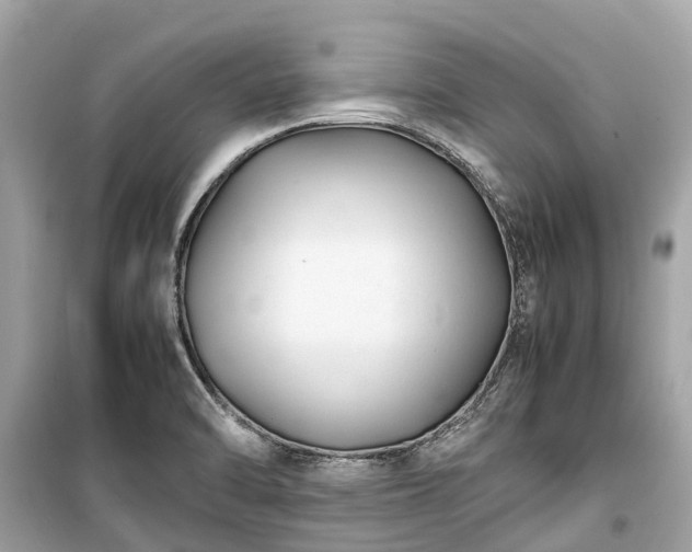 X0000099431470200805161058