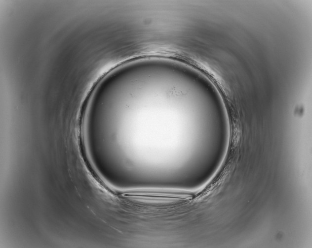 X0000099431471200805161058