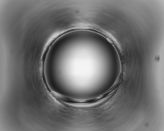 X0000099431472200805161058