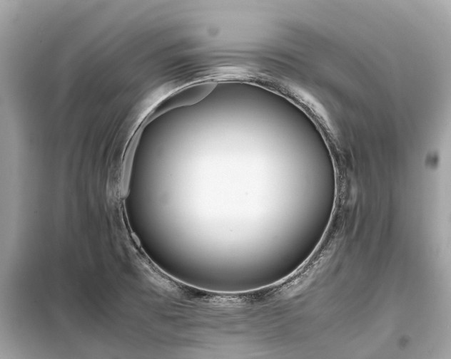X0000099431473200805161058