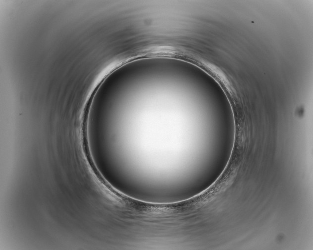 X0000099431475200805161058