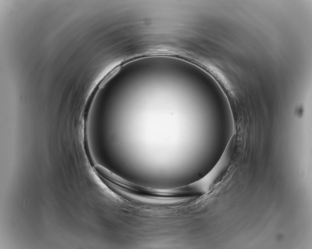 X0000099431476200805161058