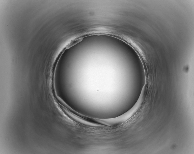 X0000099431477200805161058